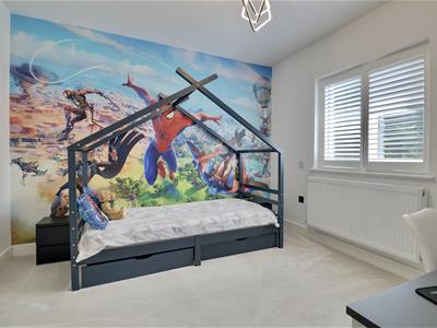 Picture 26